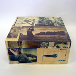 Anielka Hampson Other Box 2010
